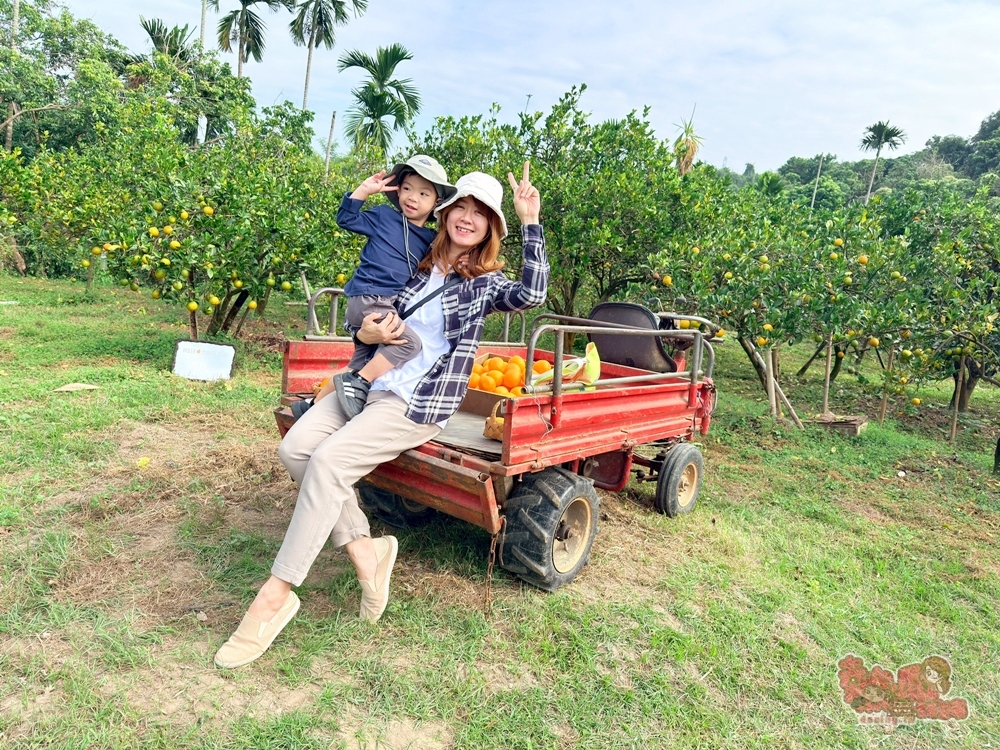 【台南景點】蕭永固果園:東山有機柳丁農場,冬季限定DIY採柳丁,親手採果好玩又好吃~ 【台南景點】蕭永固果園:東山有機柳丁農場,冬季限定DIY採柳丁,親手採果好玩又好吃~