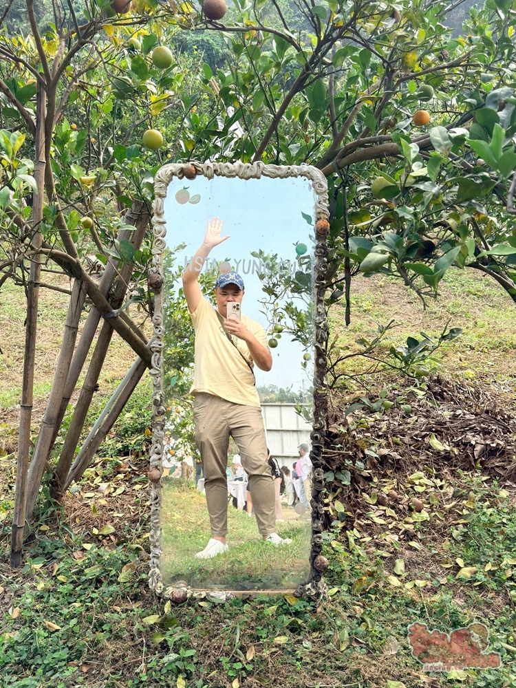【台南景點】蕭永固果園:東山有機柳丁農場,冬季限定DIY採柳丁,親手採果好玩又好吃~ 【台南景點】蕭永固果園:東山有機柳丁農場,冬季限定DIY採柳丁,親手採果好玩又好吃~