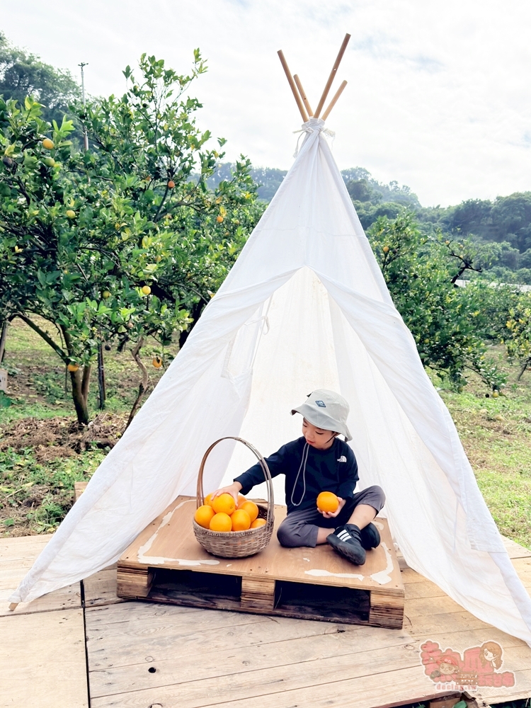 【台南景點】蕭永固果園:東山有機柳丁農場,冬季限定DIY採柳丁,親手採果好玩又好吃~ 【台南景點】蕭永固果園:東山有機柳丁農場,冬季限定DIY採柳丁,親手採果好玩又好吃~