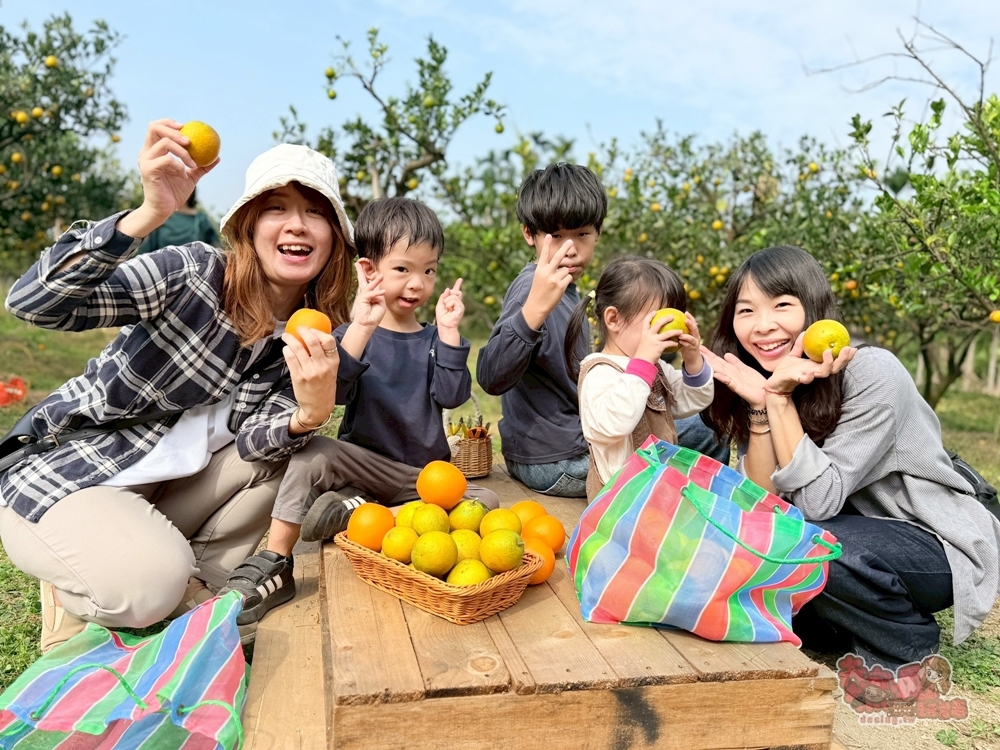 【台南景點】蕭永固果園:東山有機柳丁農場,冬季限定DIY採柳丁,親手採果好玩又好吃~ 【台南景點】蕭永固果園:東山有機柳丁農場,冬季限定DIY採柳丁,親手採果好玩又好吃~