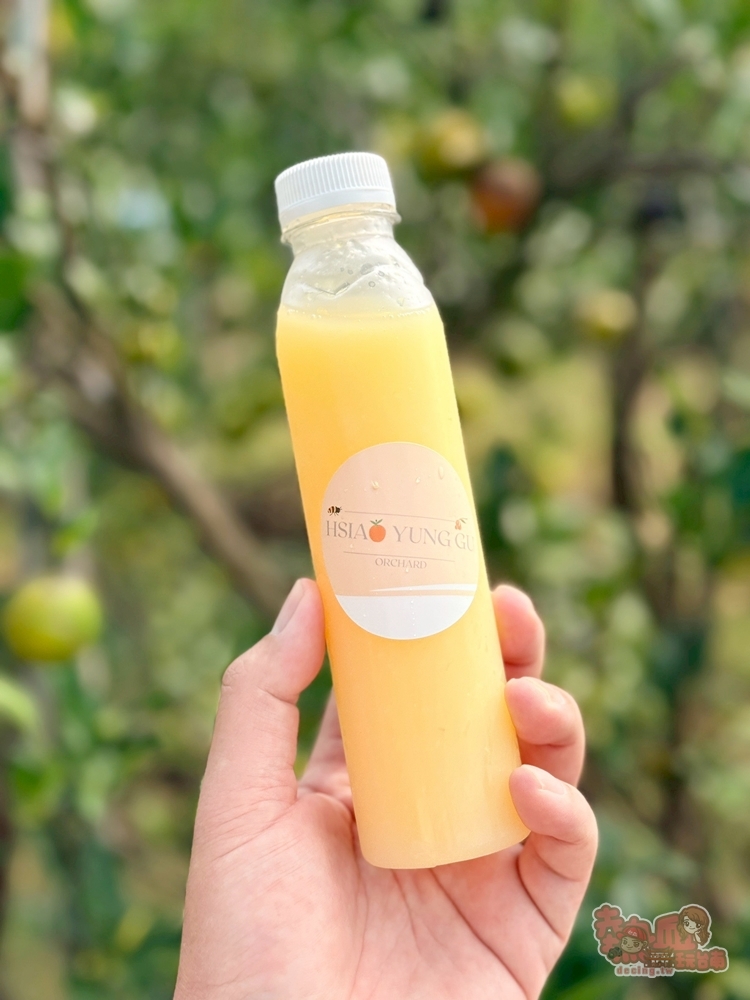 【台南景點】蕭永固果園:東山有機柳丁農場,冬季限定DIY採柳丁,親手採果好玩又好吃~ 【台南景點】蕭永固果園:東山有機柳丁農場,冬季限定DIY採柳丁,親手採果好玩又好吃~