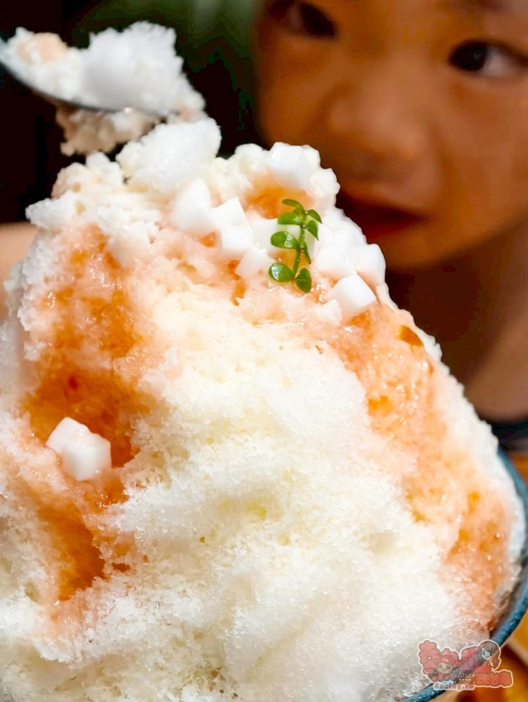 【台南冰店】奉口冰室台南府城店:隱藏在正興街神祕小巷的老宅冰室,冰品細緻好吃價格又親民~ 【台南冰店】奉口冰室台南府城店:隱藏在正興街神祕小巷的老宅冰室,冰品細緻好吃價格又親民~