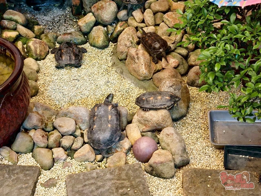 【台南燈會】2026海安燈會:300年老廟前的廟埕燈會,近千盞燈籠真的太美了,敲鐘祈福還能免費喝杏仁茶~ 【台南燈會】2026海安燈會:300年老廟前的廟埕燈會,近千盞燈籠真的太美了,敲鐘祈福還能免費喝杏仁茶~