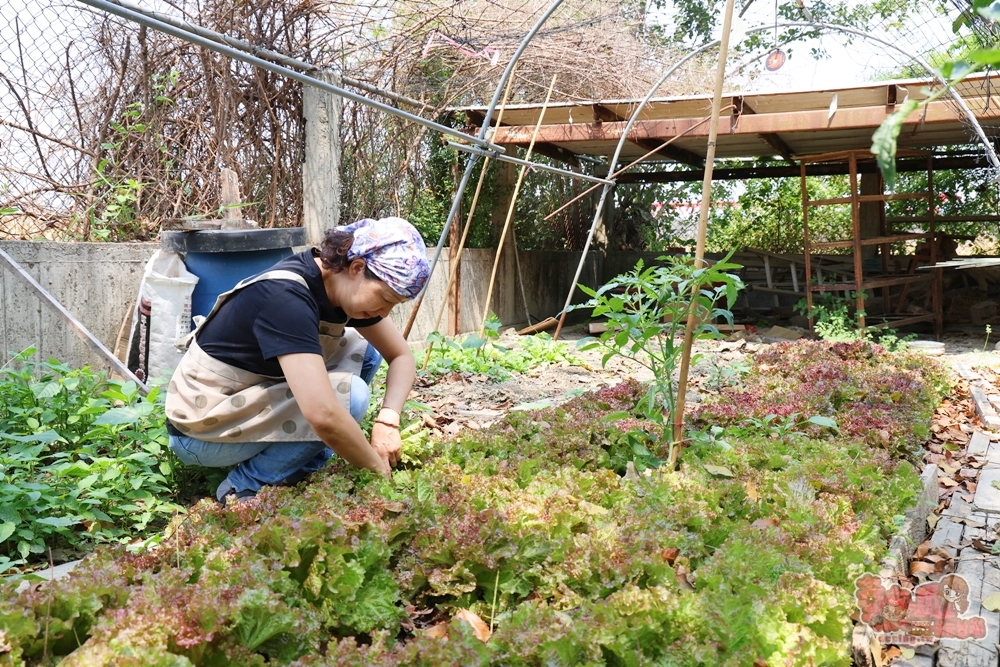 【台南美食】小洋房義式餐廳:隱藏在田園邊的安定小洋房,少見的義大利烤魚料理,整隻鮭魚頭上桌~ 【台南美食】小洋房義式餐廳:隱藏在田園邊的安定小洋房,少見的義大利烤魚料理,整隻鮭魚頭上桌~