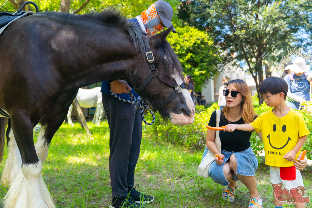 【台南活動】台南暑假限定童話王國!絕美夢幻馬車、百攤市集美食、免費闖關一次爽玩~ 【台南活動】台南暑假限定童話王國!絕美夢幻馬車、百攤市集美食、免費闖關一次爽玩~