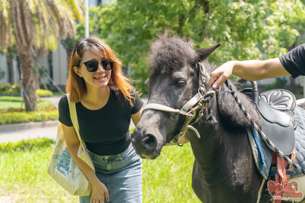 【台南活動】台南暑假限定童話王國!絕美夢幻馬車、百攤市集美食、免費闖關一次爽玩~ 【台南活動】台南暑假限定童話王國!絕美夢幻馬車、百攤市集美食、免費闖關一次爽玩~